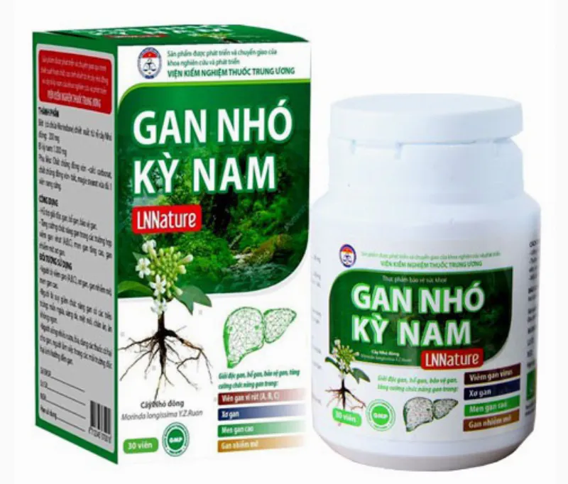 gan nhó kỳ nam giả