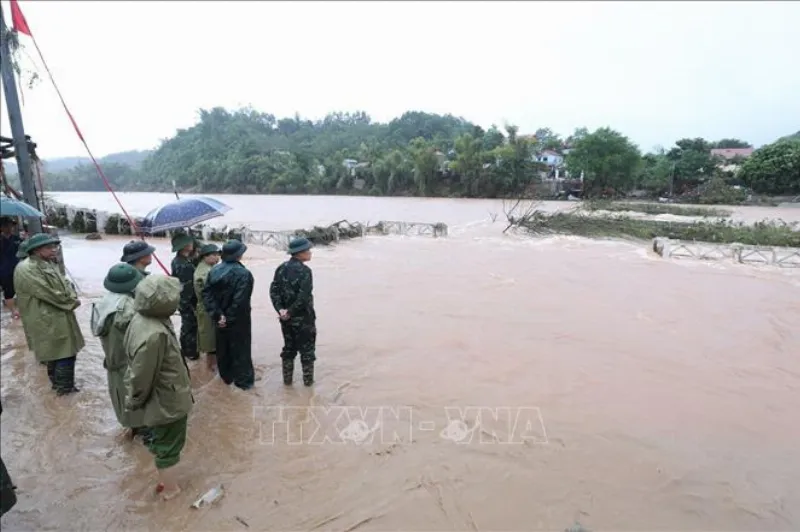 Khắc phục hậu quả lừa đảo